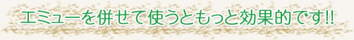 G~[𕹂ĎgƂƌʓIł!!