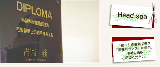 �w�b�h�X�p